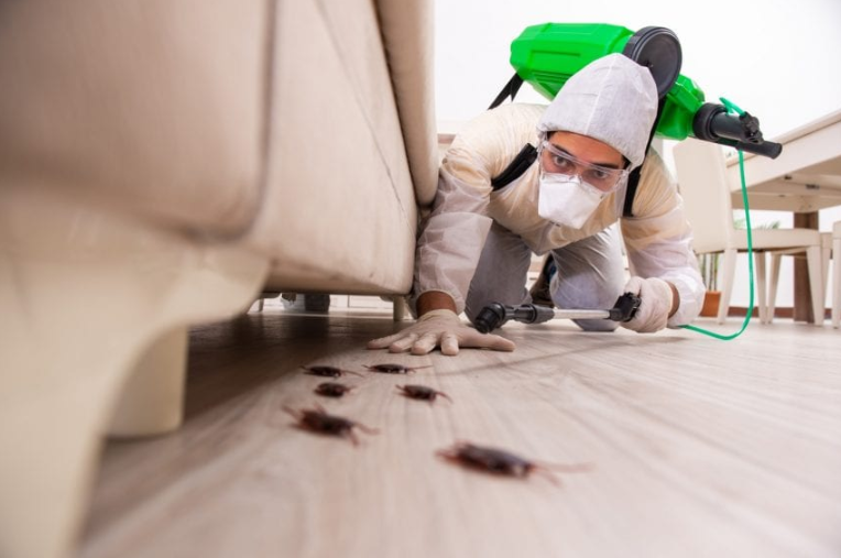 In-home pest control techniques