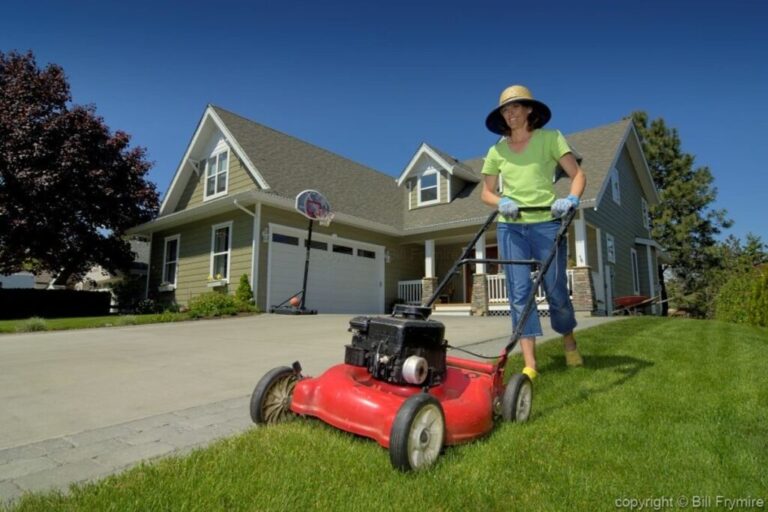 tree care